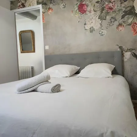 Apartament Le Boudoir De L'aurore - Ideal Famille - Bar-sur-Aube